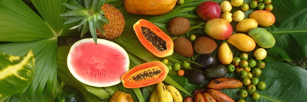 die 91 essentiellen Nährstoffe - Früchte