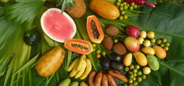 Mineralstoffe in den Früchten